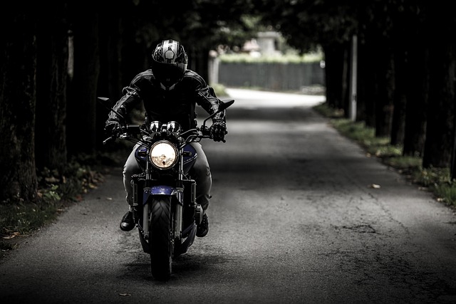 Tipologie di pelle per l’abbigliamento da motociclista
