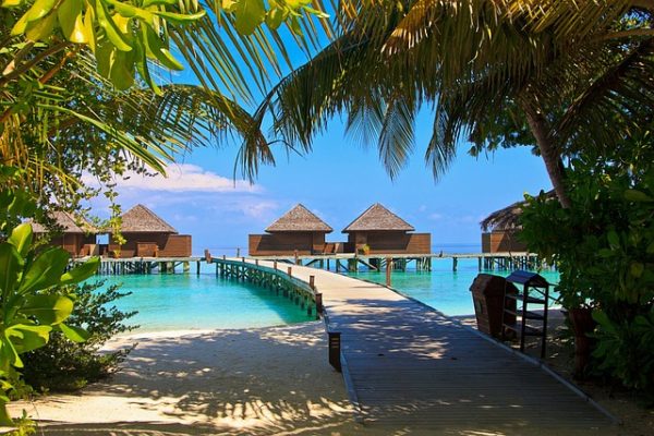 Esperienze gastronomiche di lusso alle Maldive: i migliori ristoranti sull’acqua