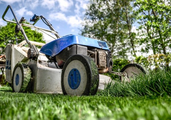 Giardino curato e in ordine: come evitare spese fuori controllo